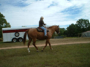 dscf0038.jpg