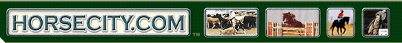 horsecity_head.gif